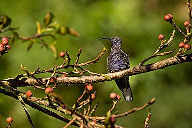 《赵云传：云汉腾龙》摩点众筹结束 全新内容开发进度曝光 